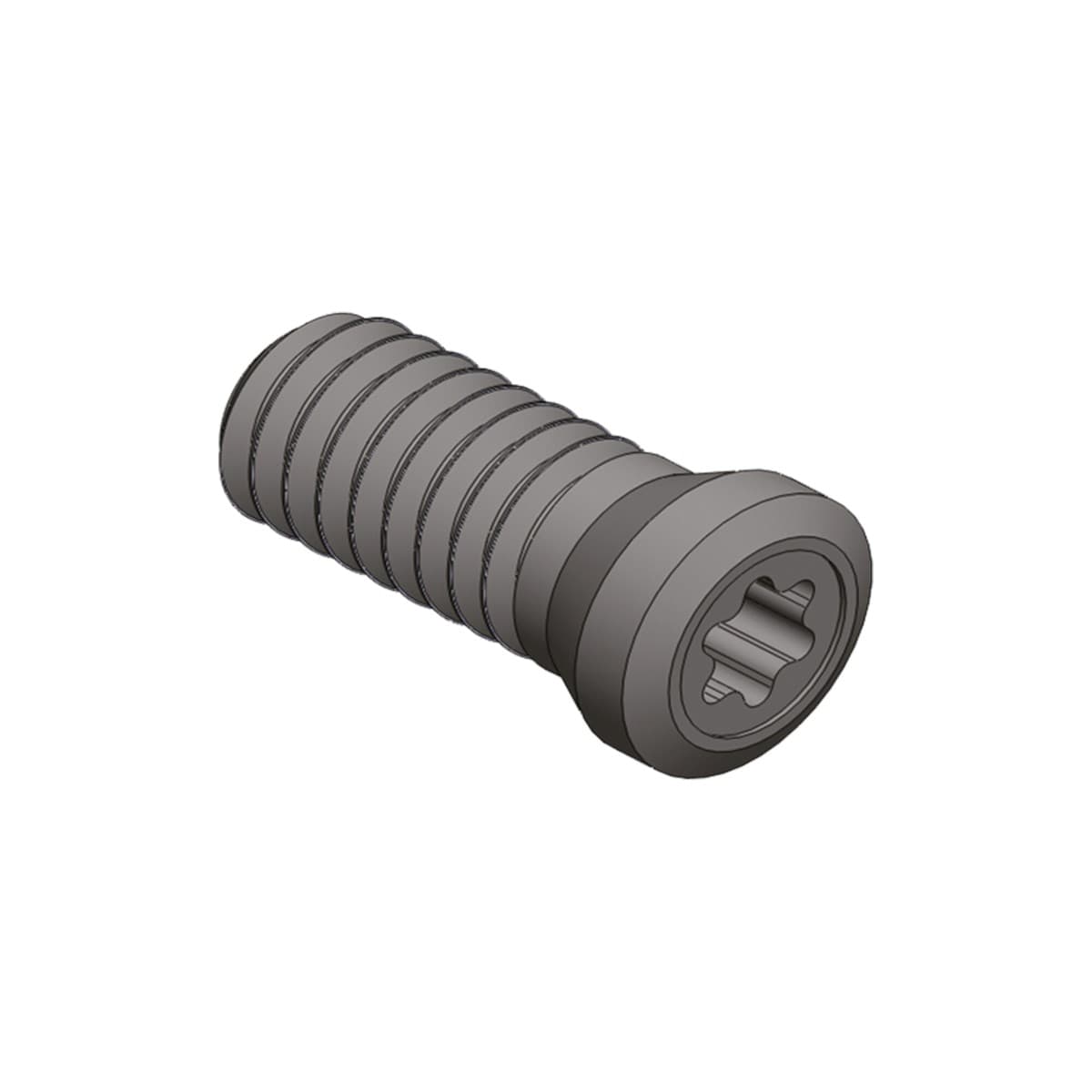 Запасные винты Karnasch TORX 22.9010.0640