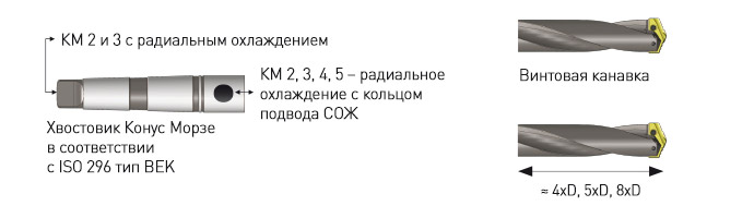 MEGQ9WrNkgkbOM_Tay5P